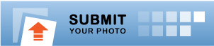 Submit your photos