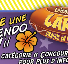 Larry laffer Drague en haute mer Jeu Mobile Jeux Mobile Mobile Aventure  Jeu PC  Humour  Filles Wii Nintendo Wii Vivendi