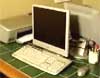 Ants Invade Computer