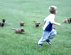 Funny dogs